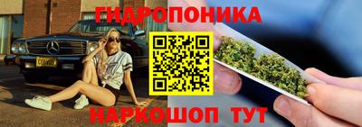 таблы Гусев