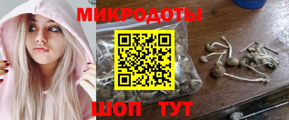 Псилоцибиновые грибы Psilocybine cubensis  Вход с VPN  Ессентуки  Псилоцибиновые грибы Psilocybine cubensis 