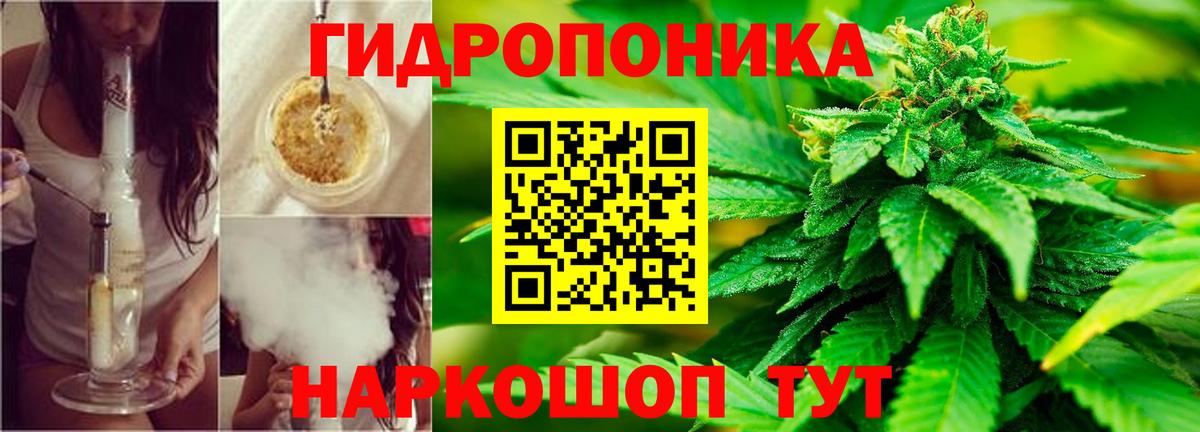 Конопля SATIVA & INDICA  Марихуана сатива  Вход с VPN  Ессентуки  Шишки марихуана Amnesia 